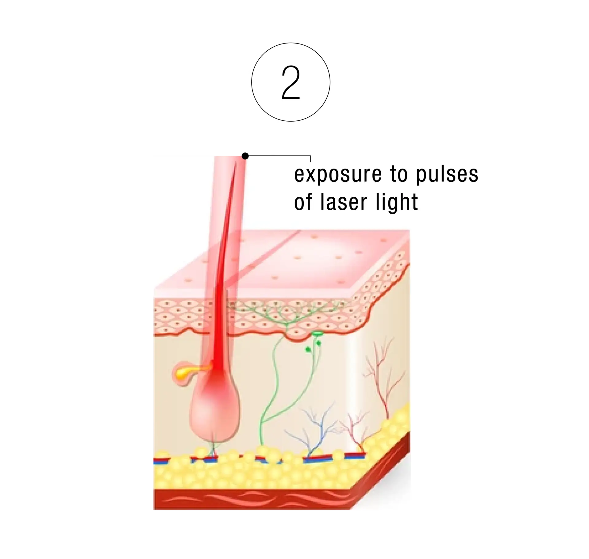 Skinney Medspa Treatments