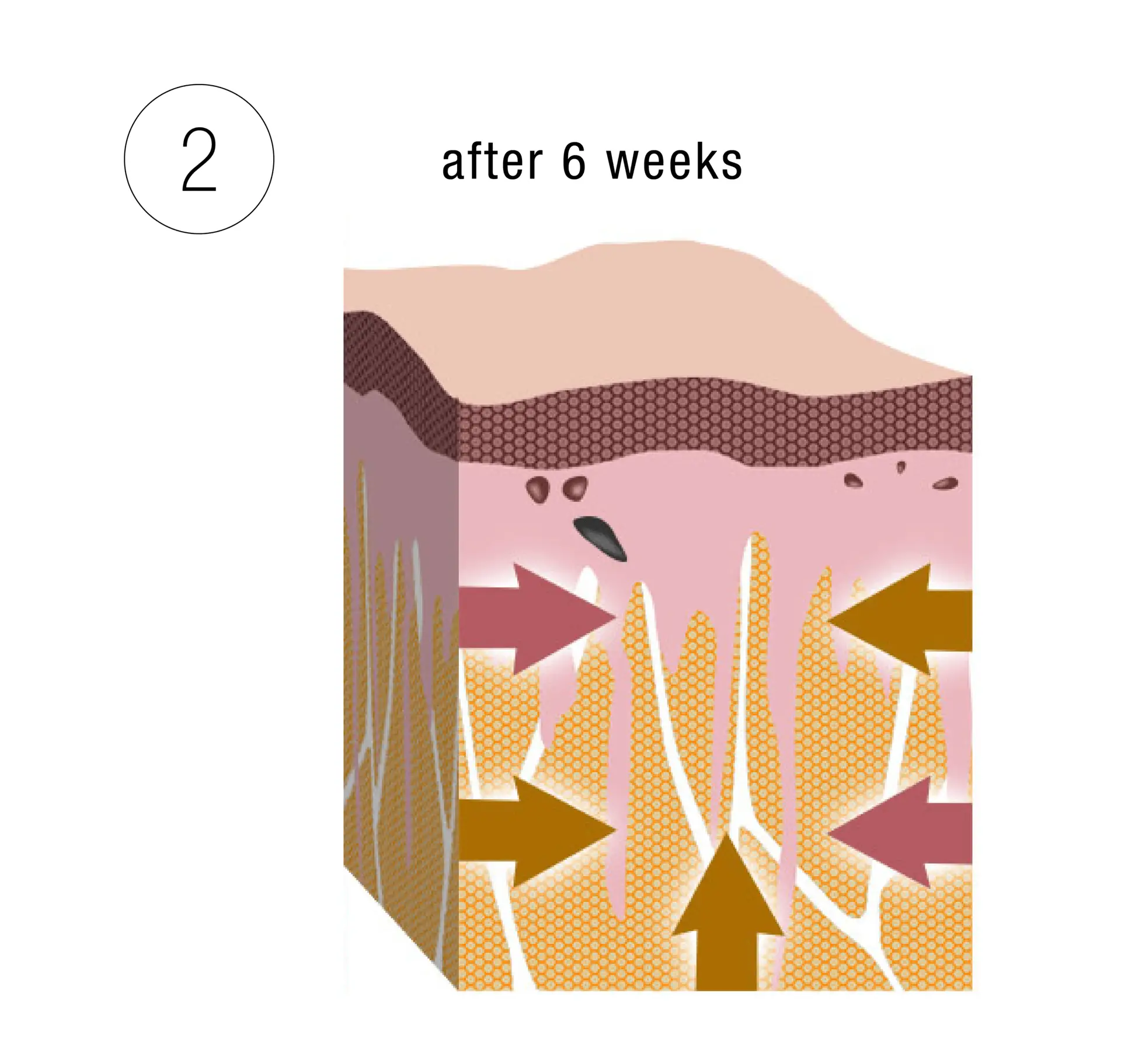 Skinney Medspa Treatments