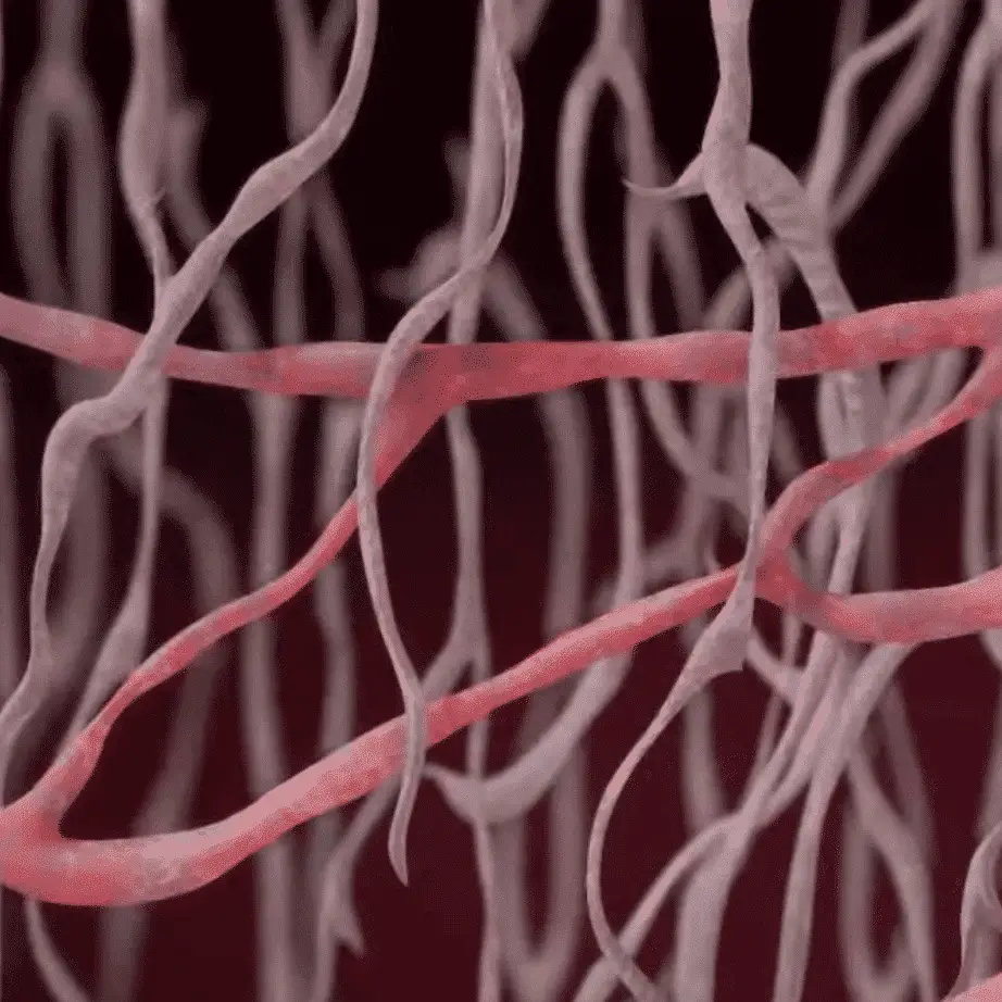 Skinney Medspa Treatments